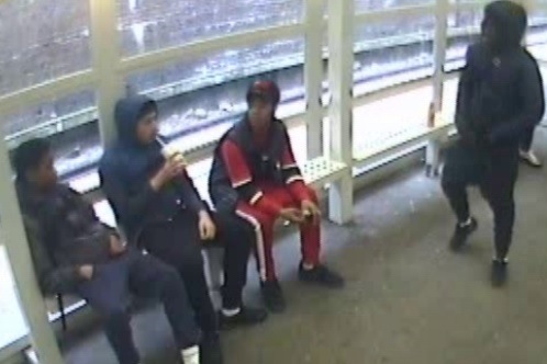 CCTV appeal: Gang sexually assault two girls at train station